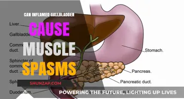 Gallbladder Inflammation and Muscle Spasms: Is There a Link?