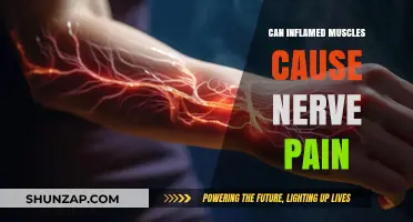 Muscle Inflammation: A Source of Nerve Pain?