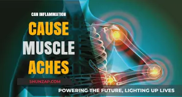 Inflammation and Muscle Aches: What's the Connection?