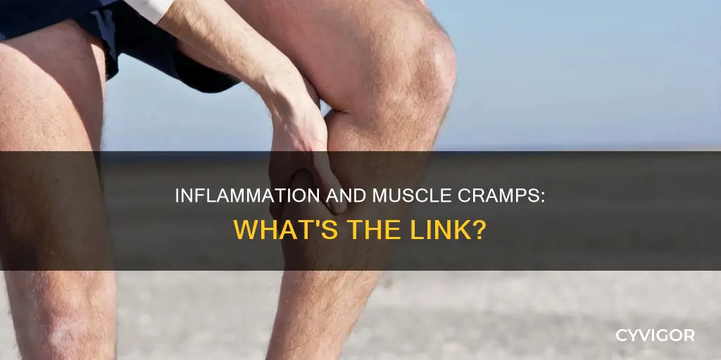 can inflammation cause muscle cramps