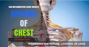 Inflammation and Chest Spasms: What's the Link?