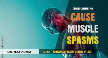 Inflammation and Muscle Spasms: Is There a Link?