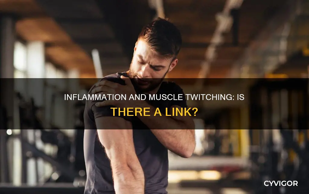 can inflammation cause muscle twitching