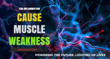 Inflammation and Muscle Weakness: Is There a Link?