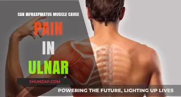 Intraspinatus Muscle and Ulnar Pain: What's the Link?
