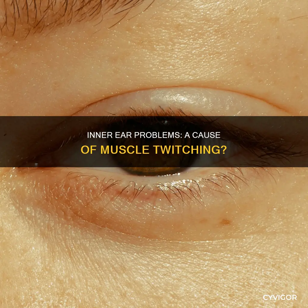 can inner ear problems cause muscle twitching