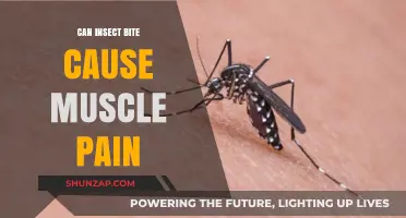 Insect Bites: Unseen Cause of Muscle Pain