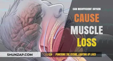 Oxygen Deprivation: Its Impact on Muscle Loss