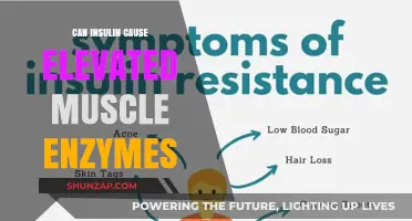 Insulin's Impact: Elevated Muscle Enzymes Explained
