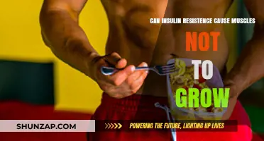 Muscle Growth and Insulin Resistance: What's the Connection?
