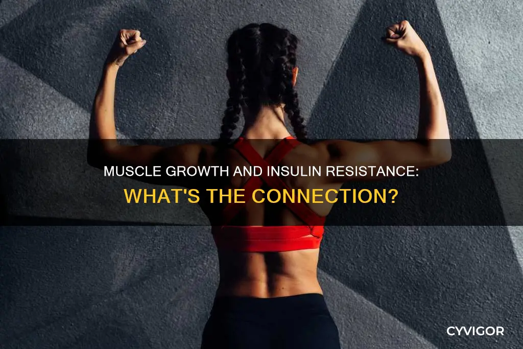 can insulin resistence cause muscles not to grow