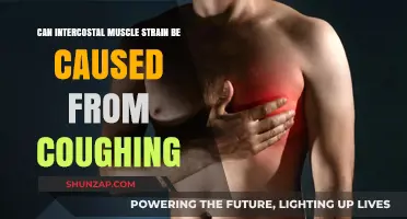 Coughing and Intercostal Muscle Strain: What's the Link?