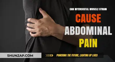Intercostal Muscle Strain: Abdominal Pain Connection