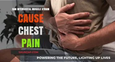 Intercostal Muscle Strain: A Cause of Chest Pain?