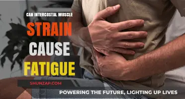 Intercostal Muscle Strain: Can It Cause Fatigue?