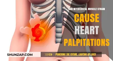 Intercostal Muscle Strain: Heart Palpitations Explained