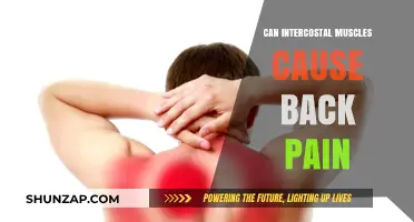 Intercostal Muscles and Back Pain: What's the Link?