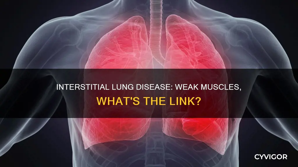 can interstital lung disease cause weak muscles