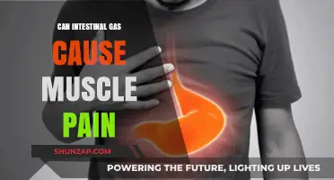 Intestinal Gas: Unlikely Culprit of Muscle Pain?