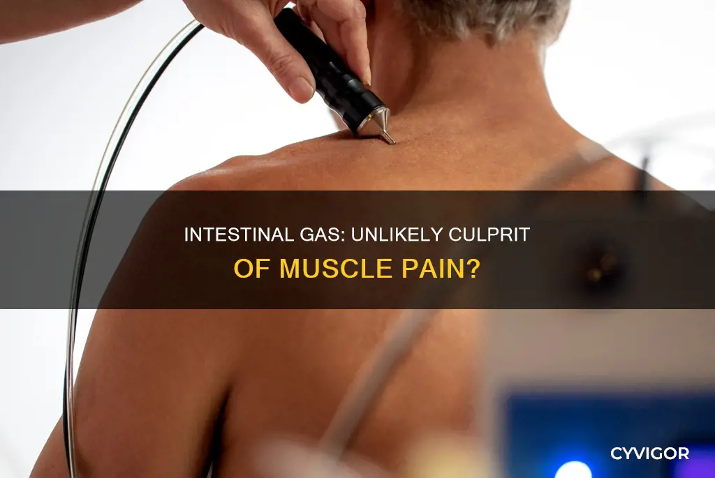 can intestinal gas cause muscle pain