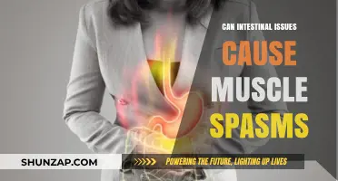 How Gut Issues Trigger Muscle Spasms