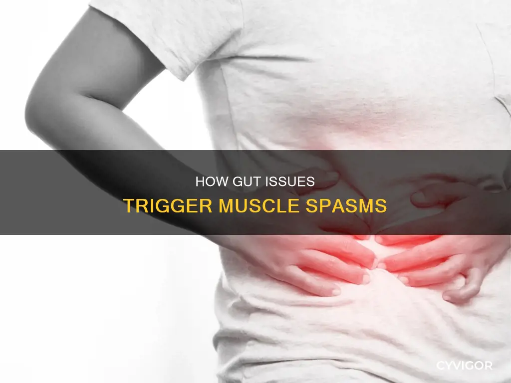 How Gut Issues Trigger Muscle Spasms | CyVigor