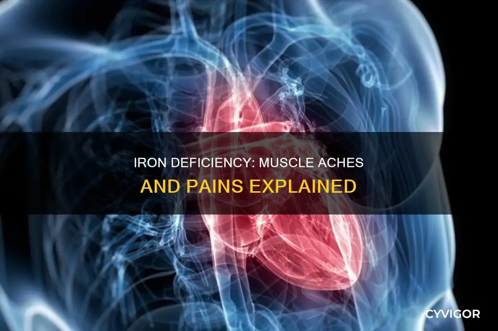 can iron deficiency cause muscle aches