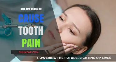 Jaw Muscles and Tooth Pain: What's the Link?