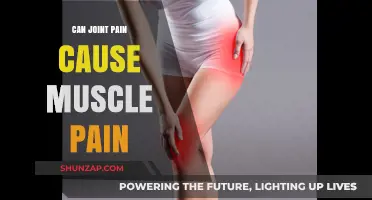 Joint Pain and Muscle Pain: What's the Link?