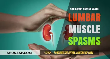 Kidney Cancer: Lumbar Spasms, What's the Link?