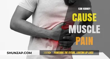 Kidney Disease: Muscle Pain and Its Link to Kidneys