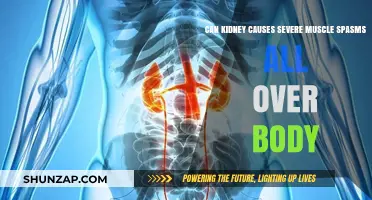 Kidney Disease: Muscle Spasms and Your Body