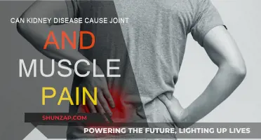 Kidney Disease: Joint and Muscle Pain Explained