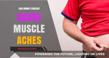 Kidney Disease: Muscle Aches and Pains Explained