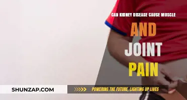 Kidney Disease: Muscle and Joint Pain Explained