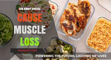 Kidney Disease: Muscle Loss and Its Causes