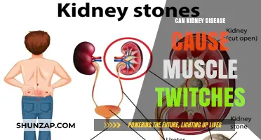 Kidney Disease: Muscle Twitching and Its Link