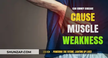 Kidney Disease: Muscle Weakness and Fatigue