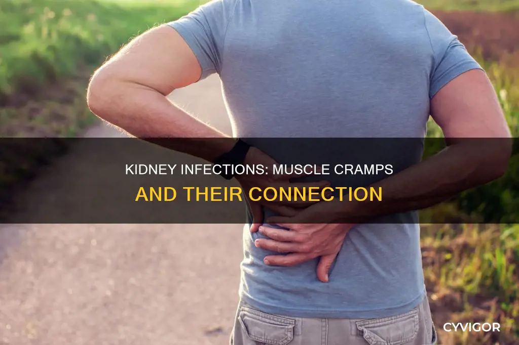 can kidney infection cause muscle cramps