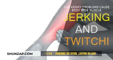 Kidney Problems: Uncovering the Link to Muscle Twitching