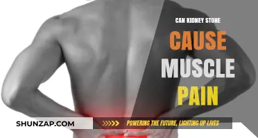 Kidney Stone Muscle Pain: Is There a Link?