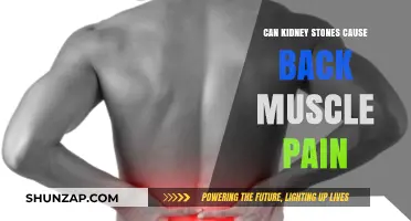 Kidney Stones: Back Pain and Muscle Aches