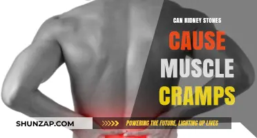 Kidney Stones: Muscle Cramps and Their Connection