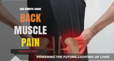 Kidney Trouble: Back Pain and Your Kidneys