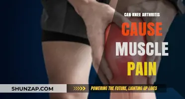Knee Arthritis: Muscle Pain and Its Causes