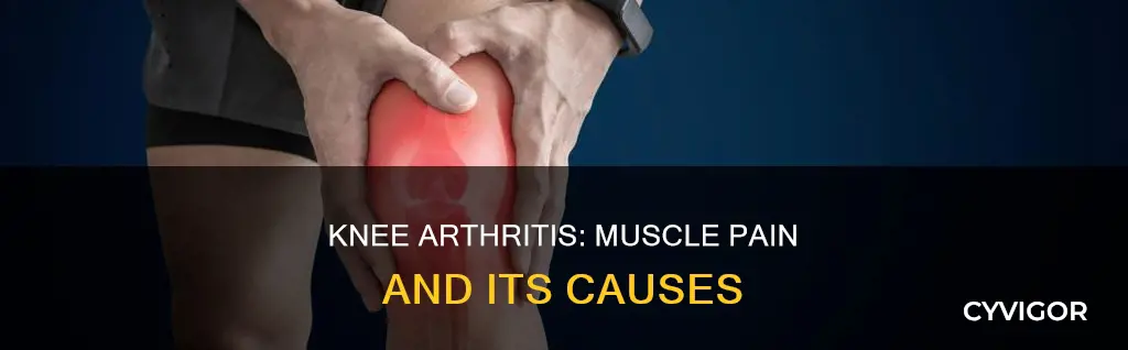 can knee arthritis cause muscle pain