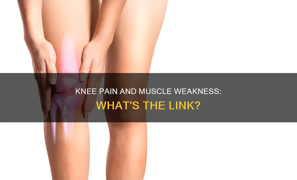 can knee cause muscle weakness
