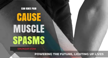 Knee Pain and Muscle Spasms: What's the Link?