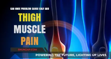 Knee Problems: Calf and Thigh Pain Explained