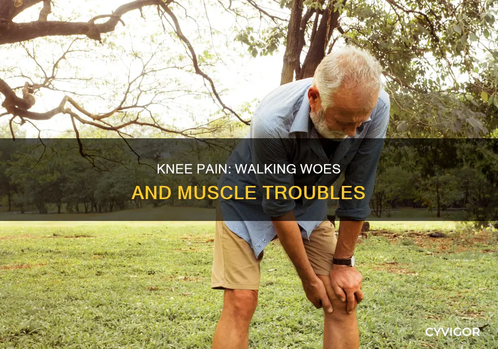 can knees and muscles around them cause trouble walking